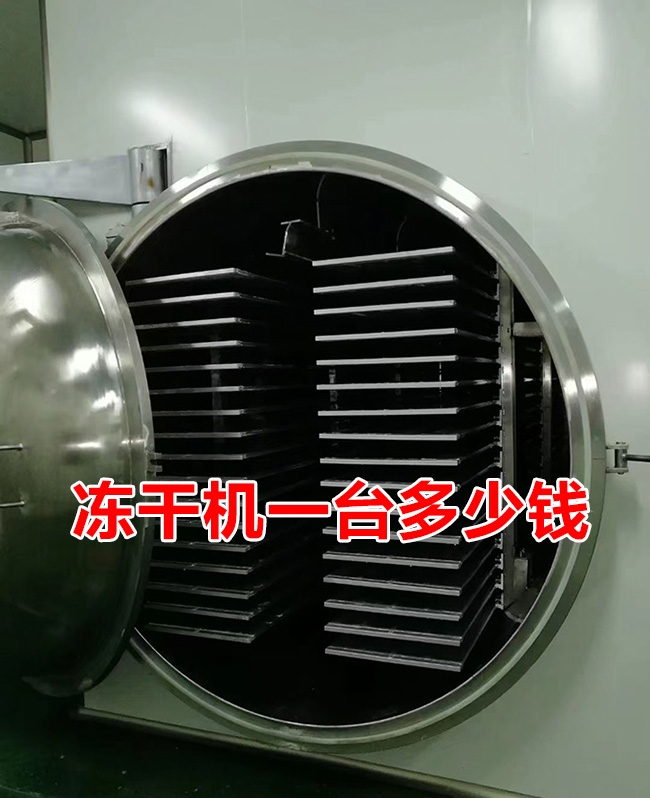 凍幹機一（yī）台多少錢