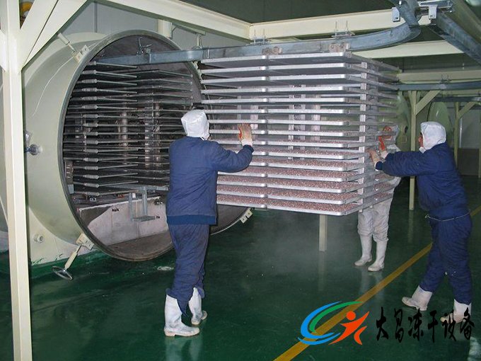 水果（guǒ）真空凍幹機