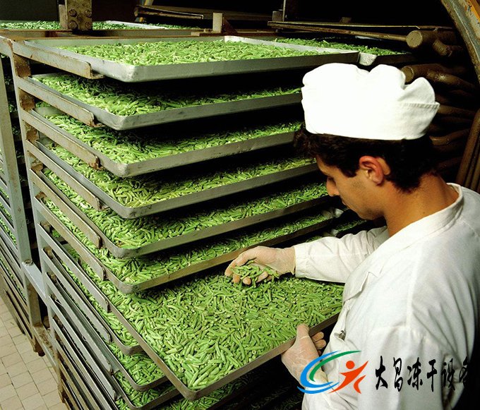 茶業真空凍幹機